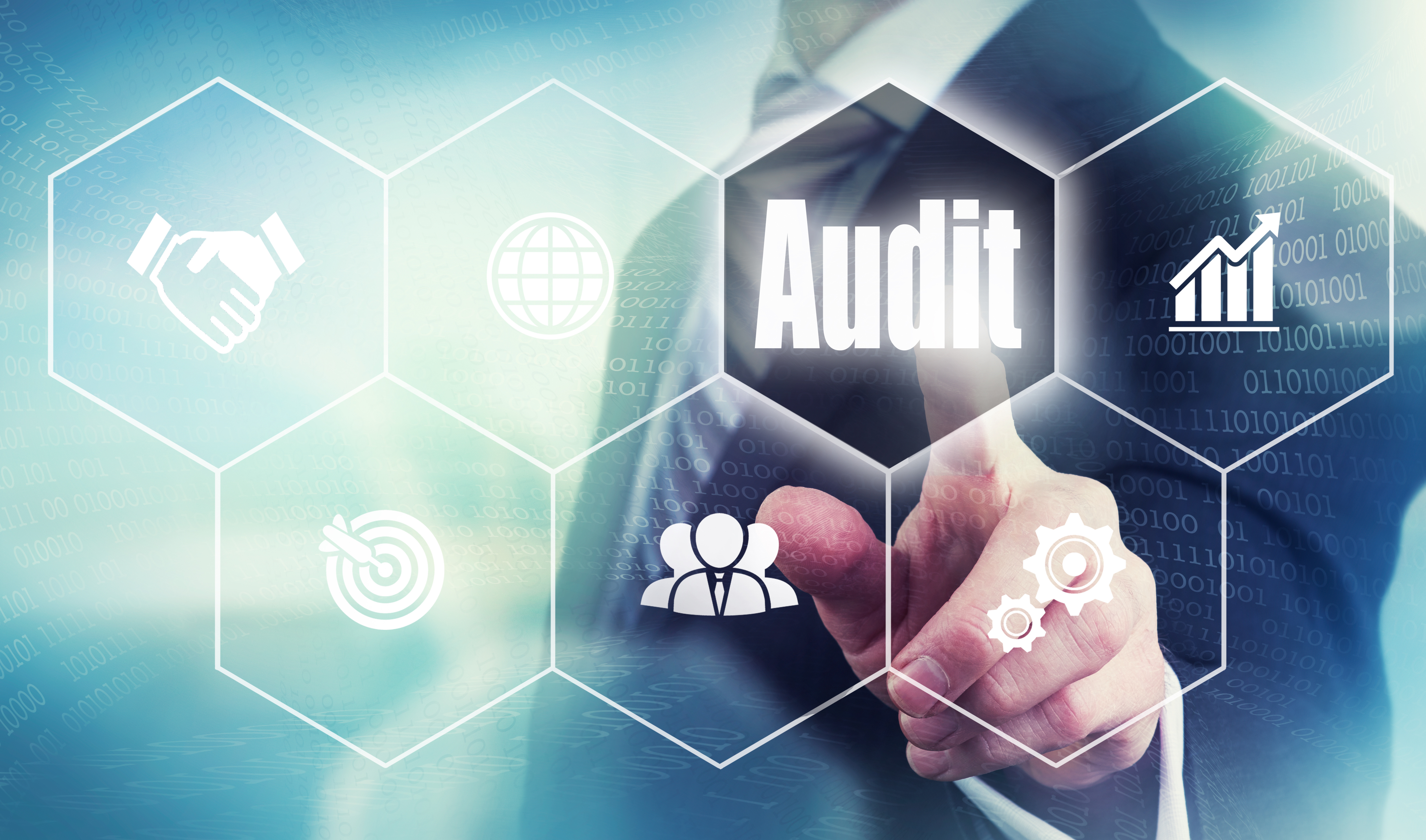 Audit Concept